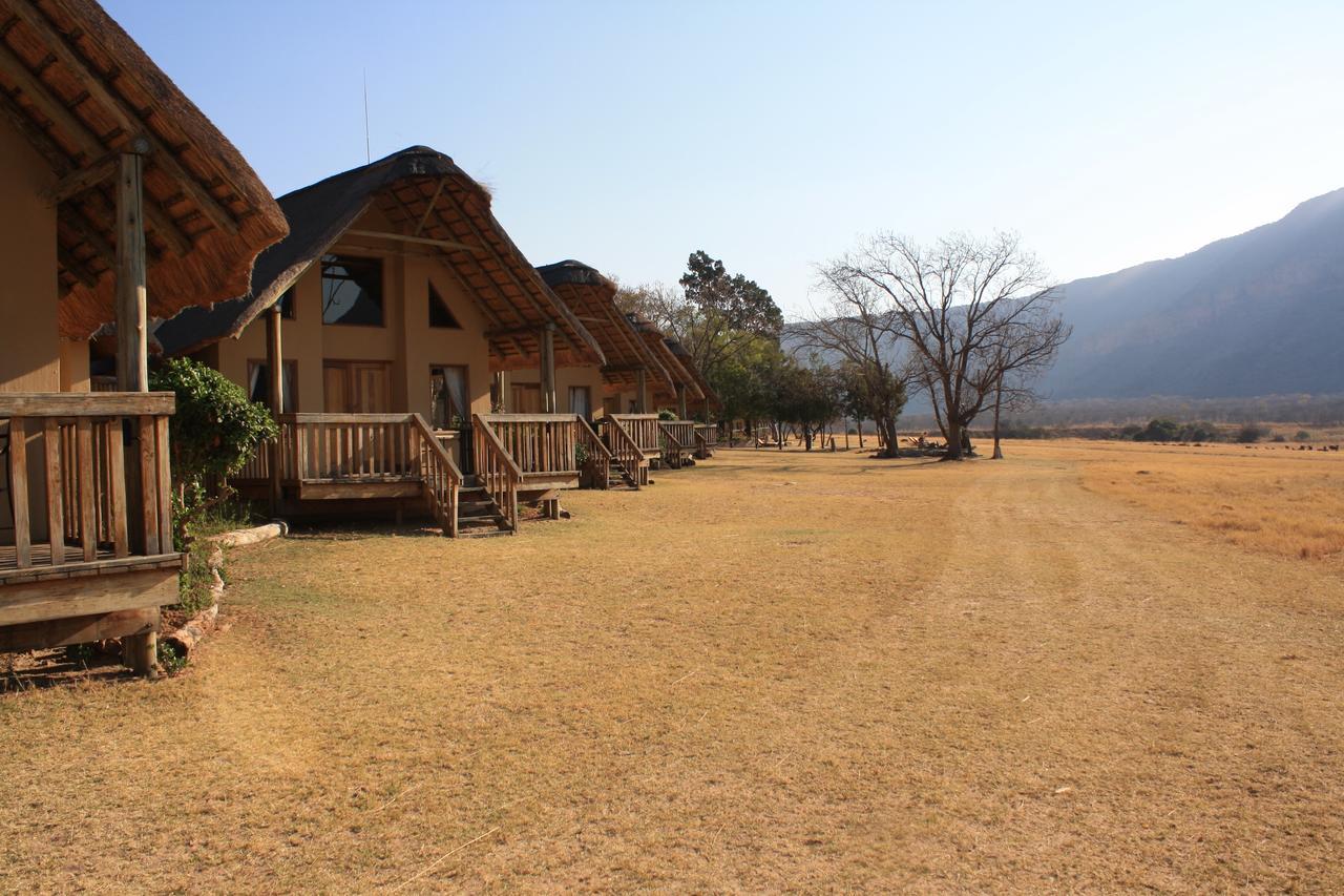 Wildside Safari Camp Villa Golders Green Bilik gambar