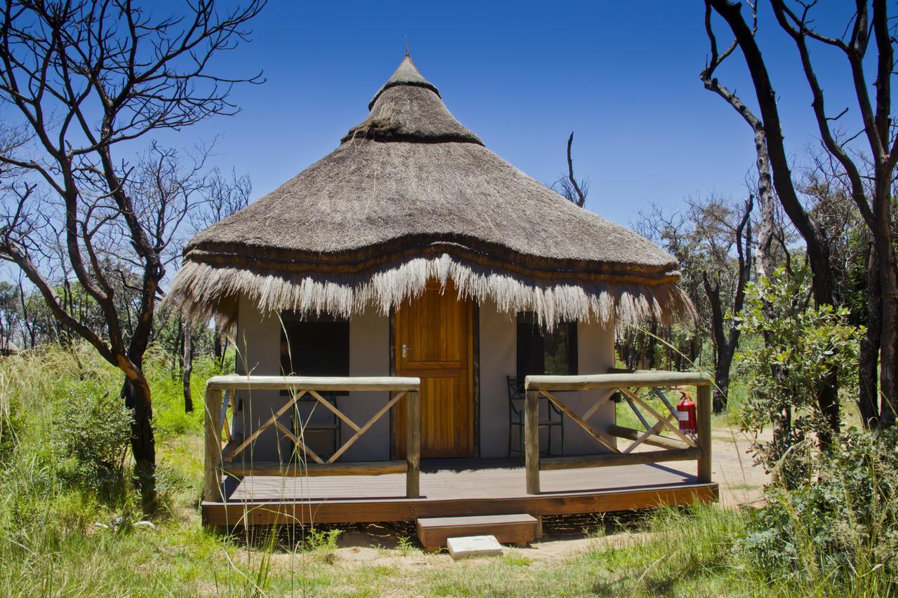 Wildside Safari Camp Villa Golders Green Luaran gambar